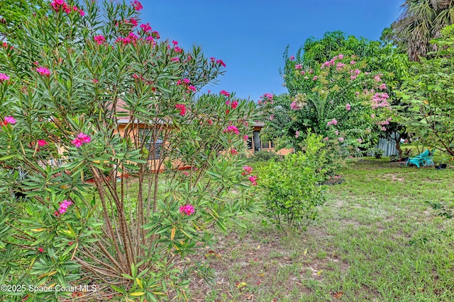 1637 Kanabec Ave NW, Palm Bay, FL 32907 - photo 42