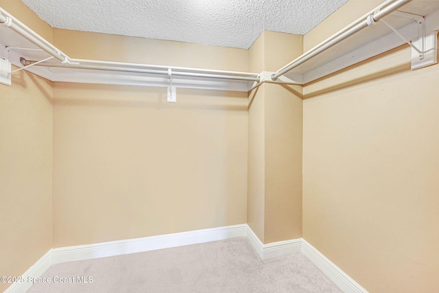 520 Palm Springs Blvd Unit 405, Indian Harbour Beach, FL 32937 - walk in closet with carpet