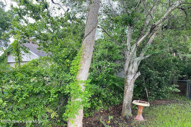 250 Willow Pl, Ormond Beach, FL 32174 - view of yard