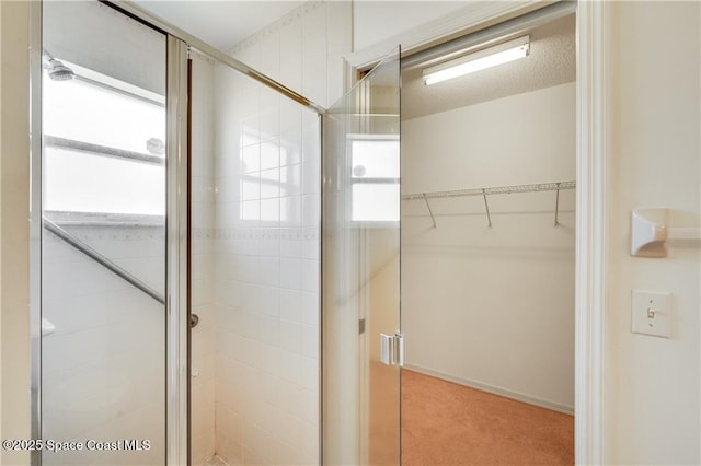 1020 Seamist Ln, Sebastian, FL 32958 - bathroom with a stall shower and a spacious closet