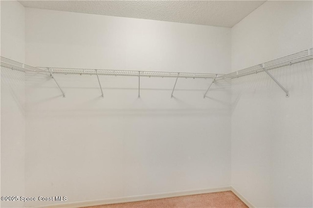 1020 Seamist Ln, Sebastian, FL 32958 - spacious closet with light colored carpet