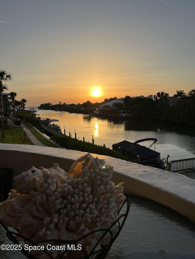 300 Columbia Dr Unit 206-1, Cape Canaveral, FL 32920 - water view with a dock