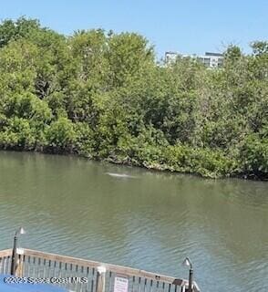 300 Columbia Dr Unit 206-1, Cape Canaveral, FL 32920 - water view
