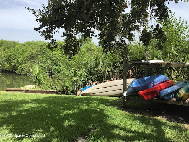 300 Columbia Dr Unit 206-1, Cape Canaveral, FL 32920 - view of grassy yard