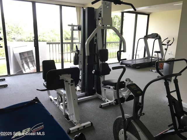 300 Columbia Dr Unit 206-1, Cape Canaveral, FL 32920 - view of workout area