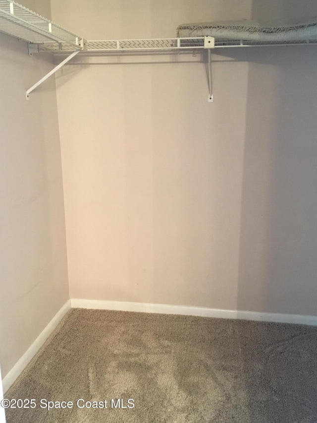 300 Columbia Dr Unit 206-1, Cape Canaveral, FL 32920 - walk in closet featuring carpet