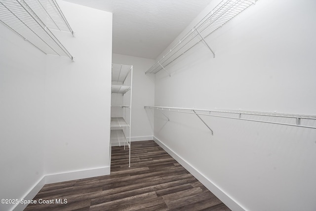 127 Friar Ct, Sebastian, FL 32958 - walk in closet featuring dark wood-style flooring