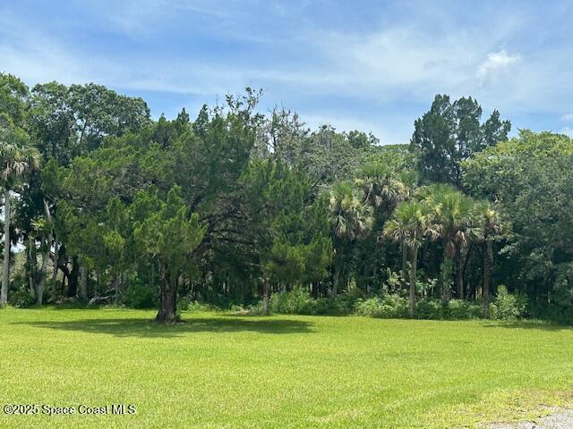 1401 Bishop Rd, Merritt Island, FL 32953 - photo 5