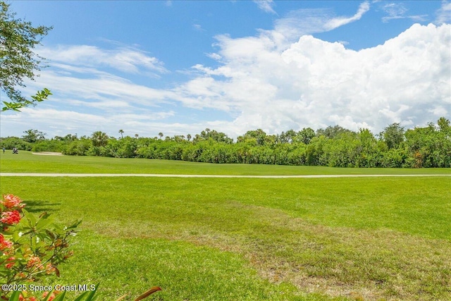 8203 National Dr, Melbourne, FL 32940 - photo 13