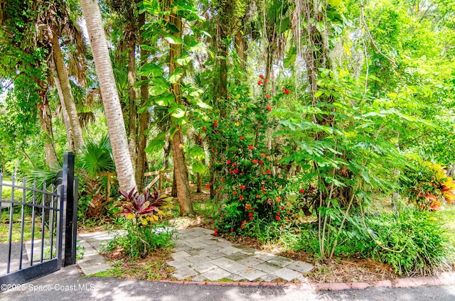 1575 Harlock Rd, Melbourne, FL 32934 - photo 7