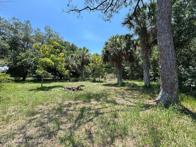 3105 Hield Rd, Melbourne, FL 32904 - view of yard