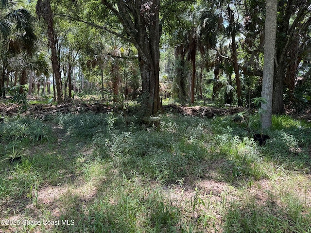 3105 Hield Rd, Melbourne, FL 32904 - view of woods
