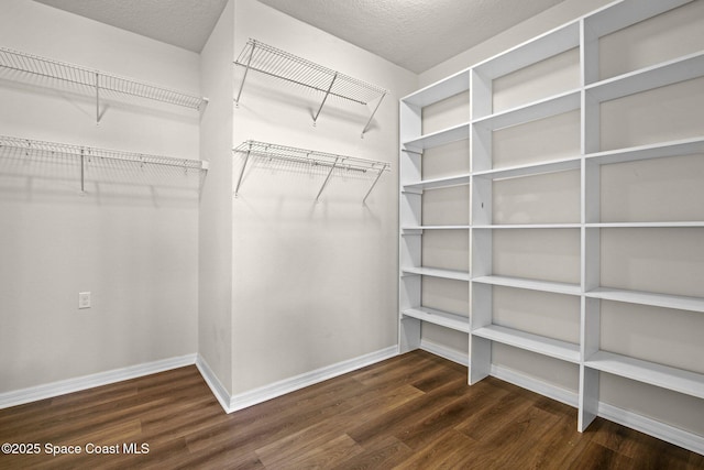 2690 Cypress Tree Trl, Saint Cloud, FL 34772 - walk in closet featuring wood finished floors
