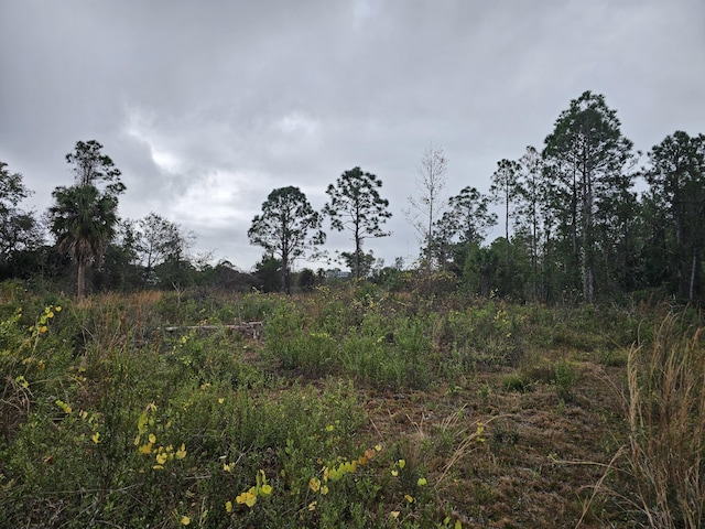 0000 Blounts Ridge Rd, Mims, FL 32754 - photo 4