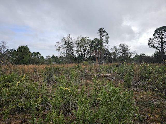 0000 Blounts Ridge Rd, Mims, FL 32754 - photo 5