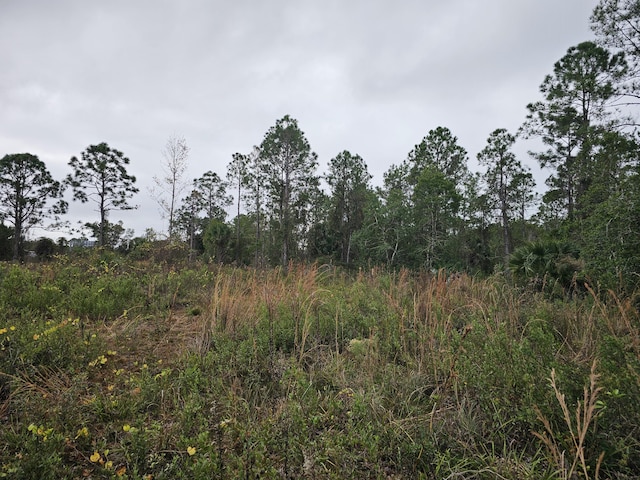 0000 Blounts Ridge Rd, Mims, FL 32754 - photo 7
