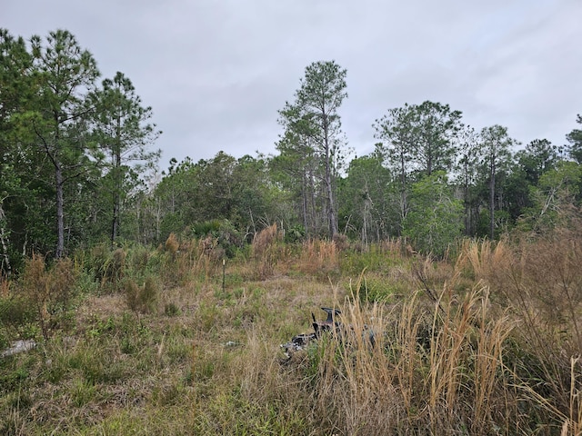 0000 Blounts Ridge Rd, Mims, FL 32754 - photo 8