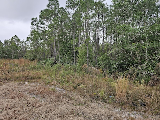 0000 Blounts Ridge Rd, Mims, FL 32754 - photo 9