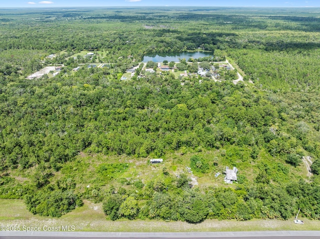 0000 Blounts Ridge Rd, Mims, FL 32754 - photo 14