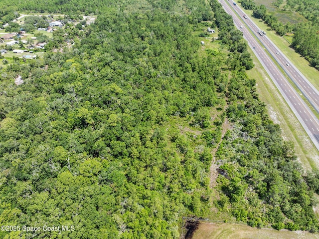 0000 Blounts Ridge Rd, Mims, FL 32754 - photo 18