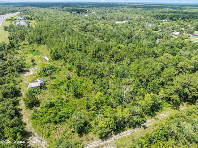 0000 Blounts Ridge Rd, Mims, FL 32754 - photo 24
