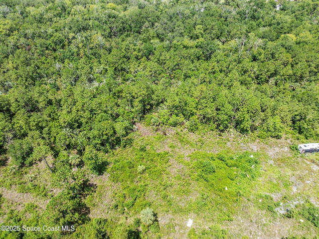 0000 Blounts Ridge Rd, Mims, FL 32754 - photo 25
