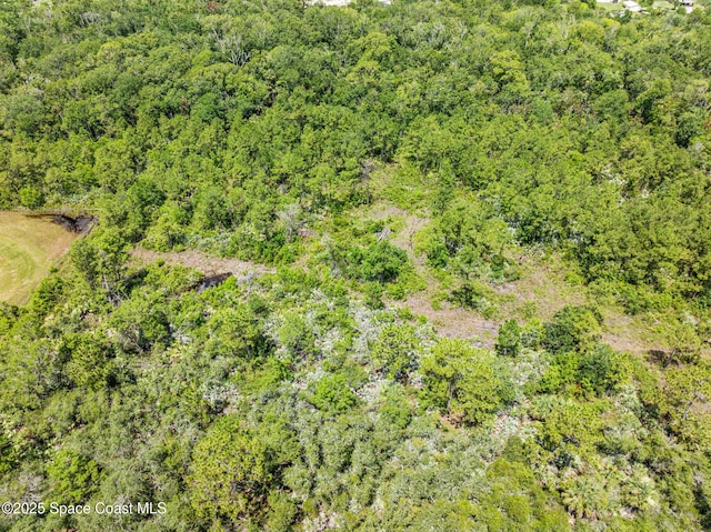 0000 Blounts Ridge Rd, Mims, FL 32754 - photo 26