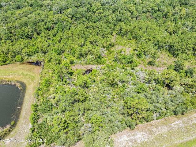 0000 Blounts Ridge Rd, Mims, FL 32754 - photo 27