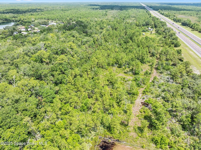 0000 Blounts Ridge Rd, Mims, FL 32754 - photo 28