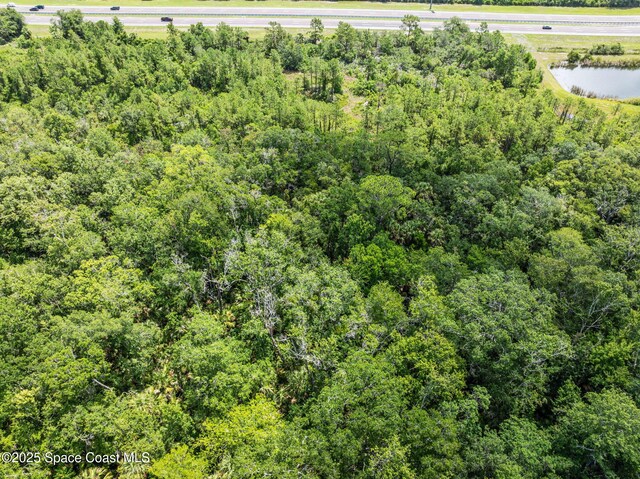 0000 Blounts Ridge Rd, Mims, FL 32754 - photo 30