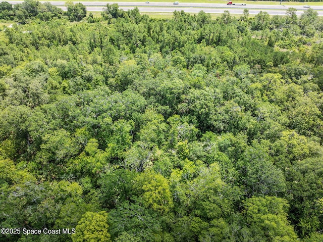 0000 Blounts Ridge Rd, Mims, FL 32754 - photo 31