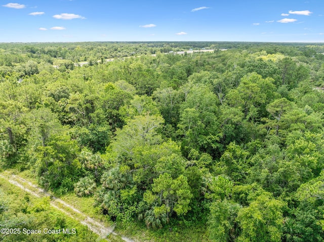 0000 Blounts Ridge Rd, Mims, FL 32754 - photo 38