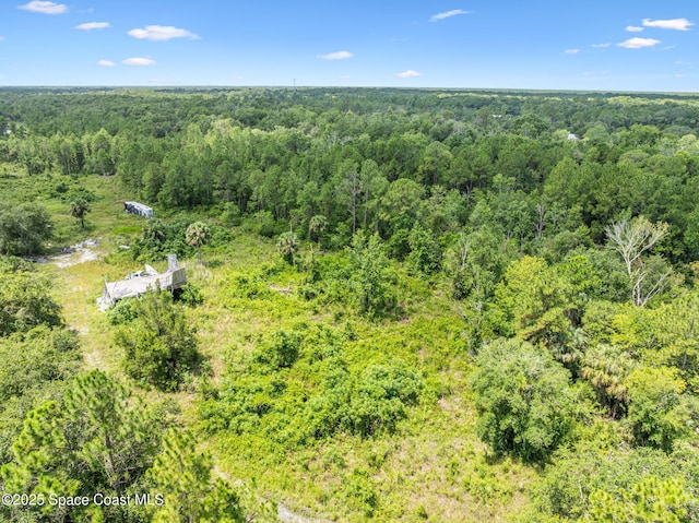 0000 Blounts Ridge Rd, Mims, FL 32754 - photo 39