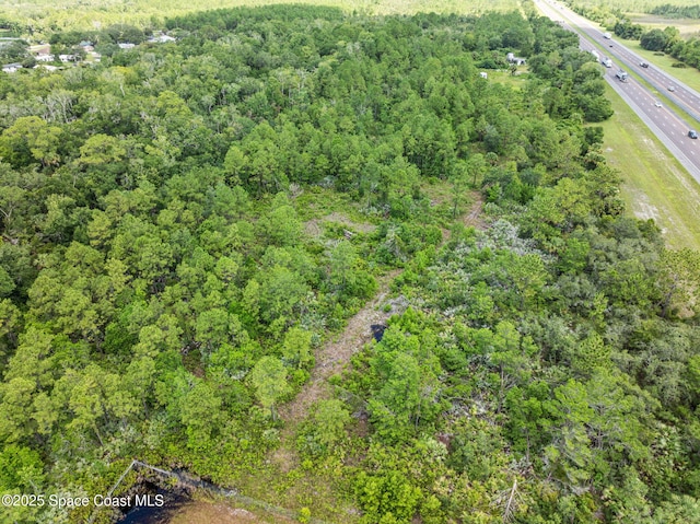 0000 Blounts Ridge Rd, Mims, FL 32754 - photo 40