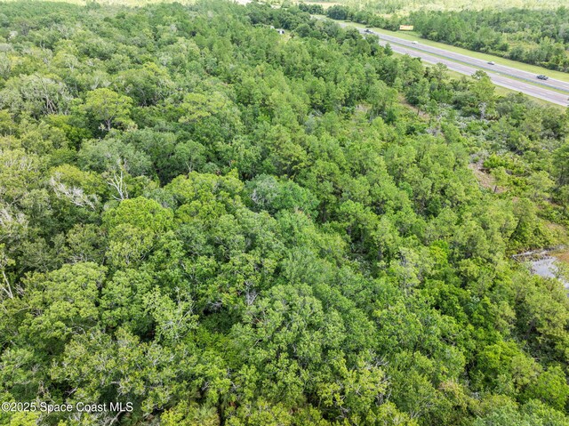 0000 Blounts Ridge Rd, Mims, FL 32754 - photo 41
