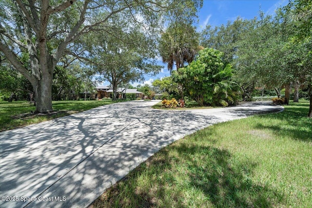 3226 Villa Espana Trl, Melbourne, FL 32935 - photo 5
