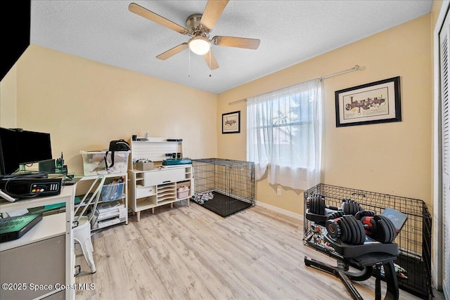 3635 Manassas Ave, Melbourne, FL 32934 - office area with light wood finished floors, a ceiling fan, and a textured ceiling