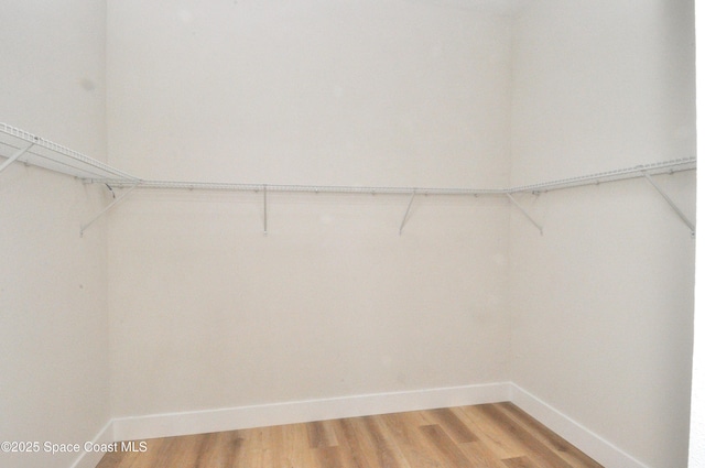 1043 Walden Blvd SE, Palm Bay, FL 32909 - walk in closet with light wood finished floors