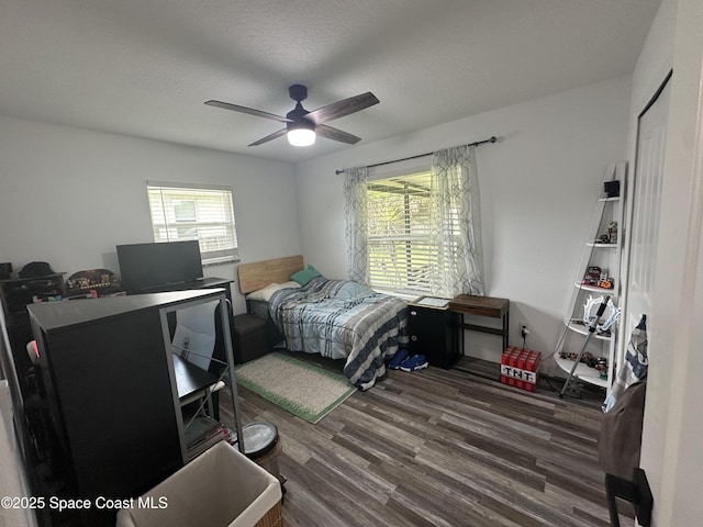 6240 Grissom Pkwy, Cocoa, FL 32927 - bedroom with multiple windows, wood finished floors, and ceiling fan