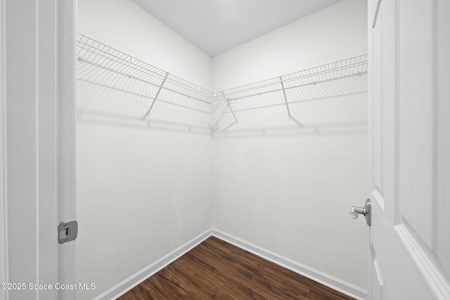 3645 Salt Marsh Cir, West Melbourne, FL 32904 - spacious closet featuring dark wood finished floors