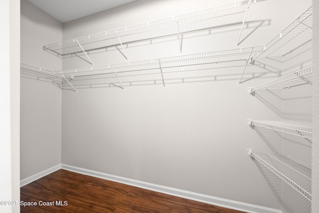 3645 Salt Marsh Cir, West Melbourne, FL 32904 - walk in closet featuring dark wood-style floors