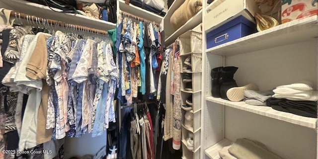 699 Bimini Rd, Satellite Beach, FL 32937 - view of walk in closet