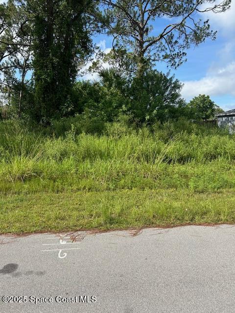 854 Thuringer St NW, Palm Bay, FL 32907