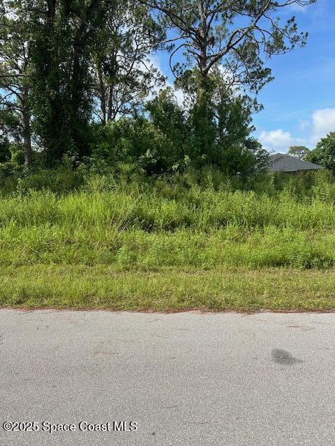 854 Thuringer St NW, Palm Bay, FL 32907