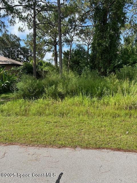 854 Thuringer St NW, Palm Bay, FL 32907