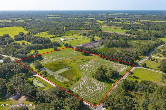 12426 Bay Lake Rd, Groveland, FL 34736