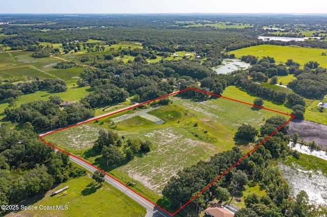 12426 Bay Lake Rd, Groveland, FL 34736