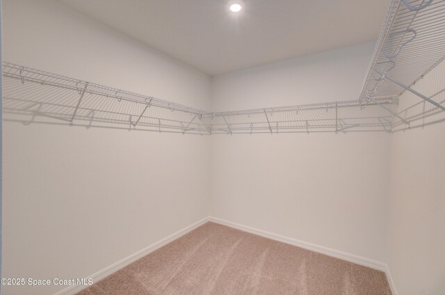 236 Brookshire Ave, Titusville, FL 32796 - photo 35