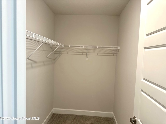 1245 Kylar Dr NW, Palm Bay, FL 32907 - spacious closet featuring carpet floors