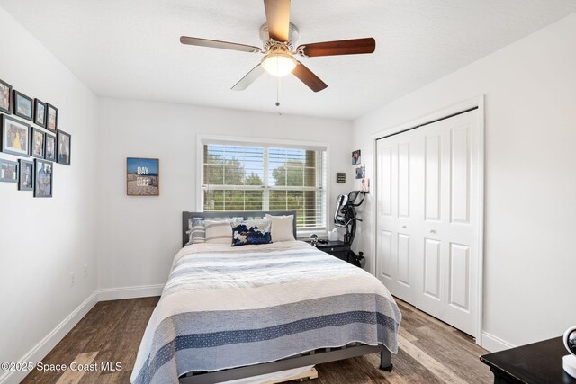 405 Lake View Ln, Grant-Valkaria, FL 32909 - bedroom with wood finished floors, a closet, and ceiling fan